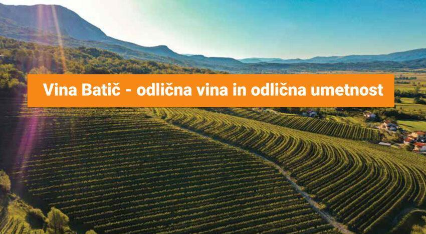 vina-batič