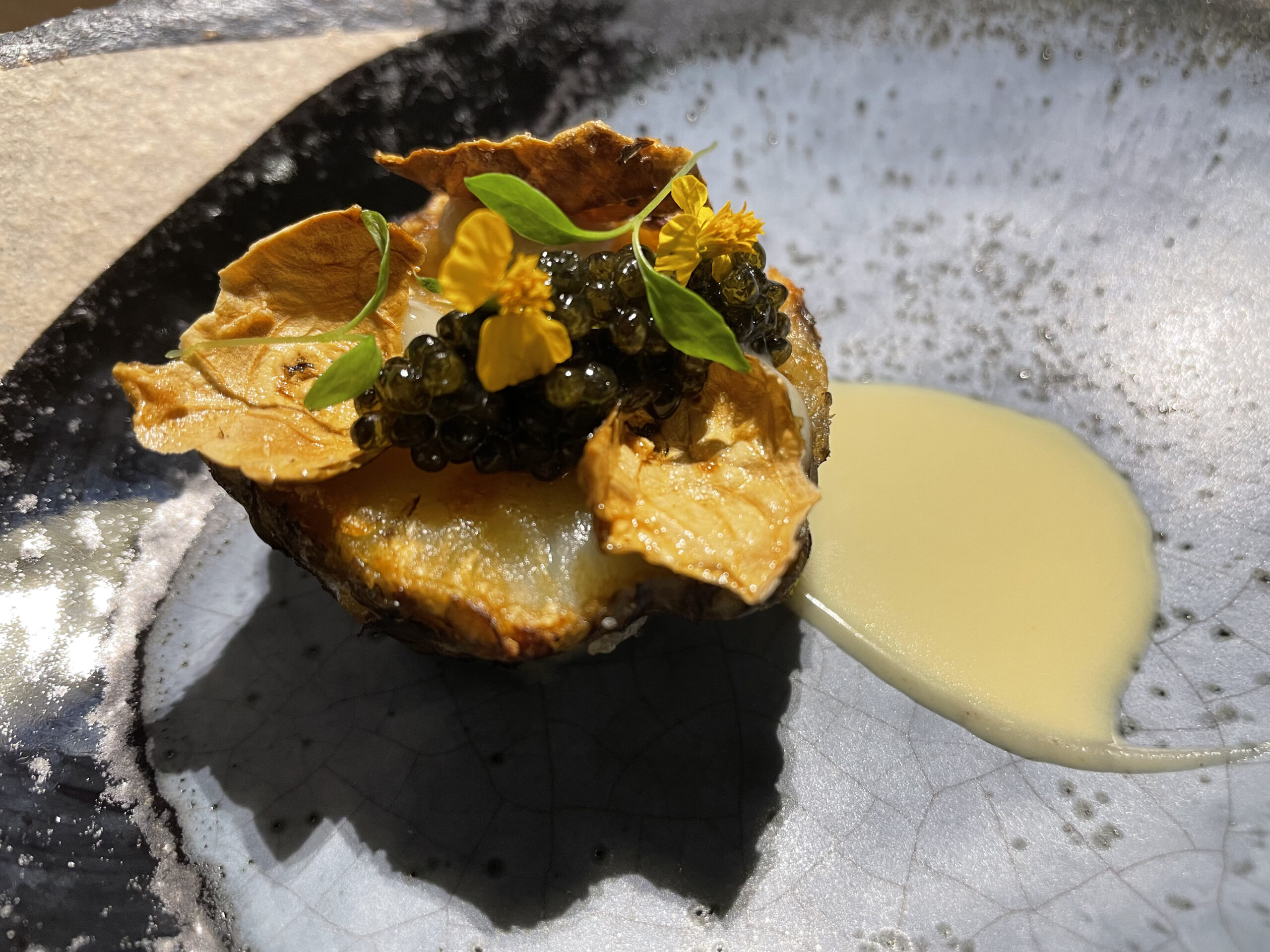  Zemeljskost, kremoznost, slanost, jeruzalemska artičoka, bagna cauda in sevruga.