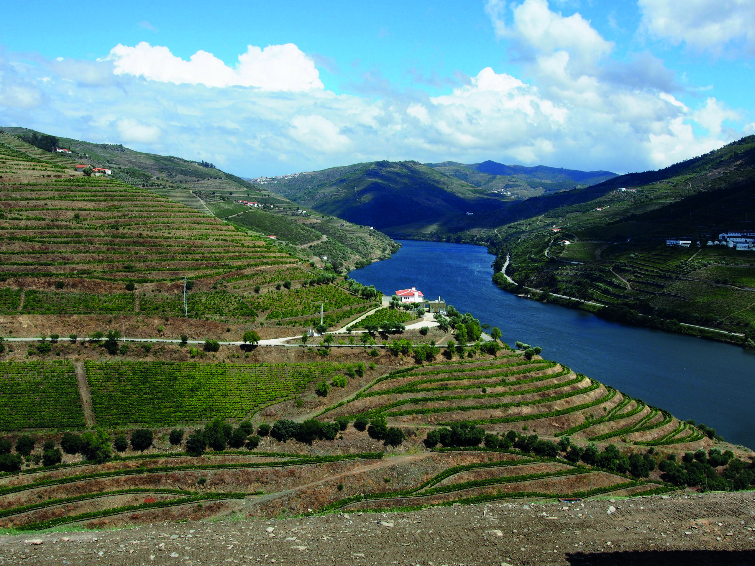 Romantika porta - dolina reke Douro