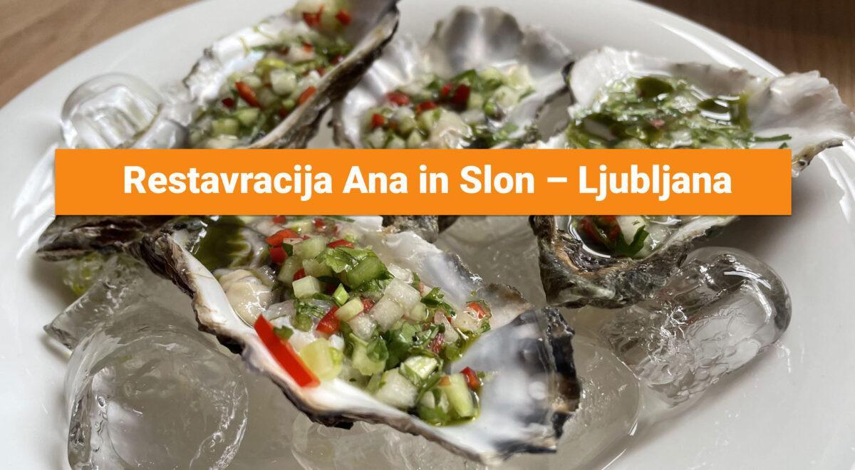 Restavracija Ana in Slon – Ljubljana