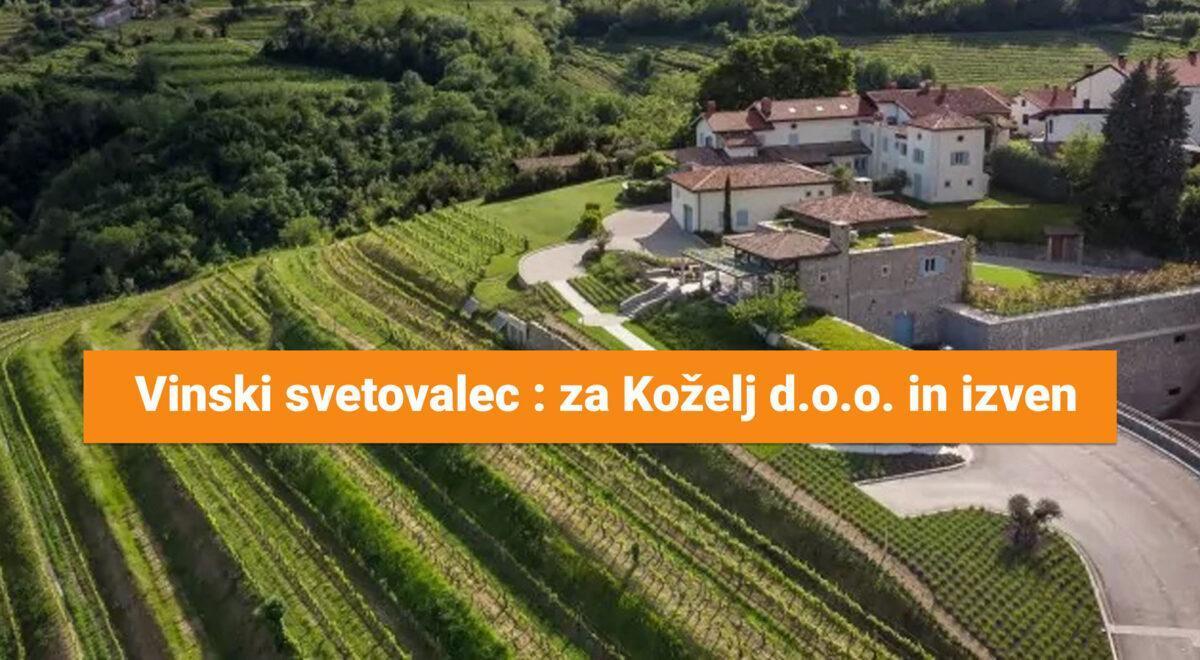 Vinski svetovalec : za Koželj d.o.o. in izven