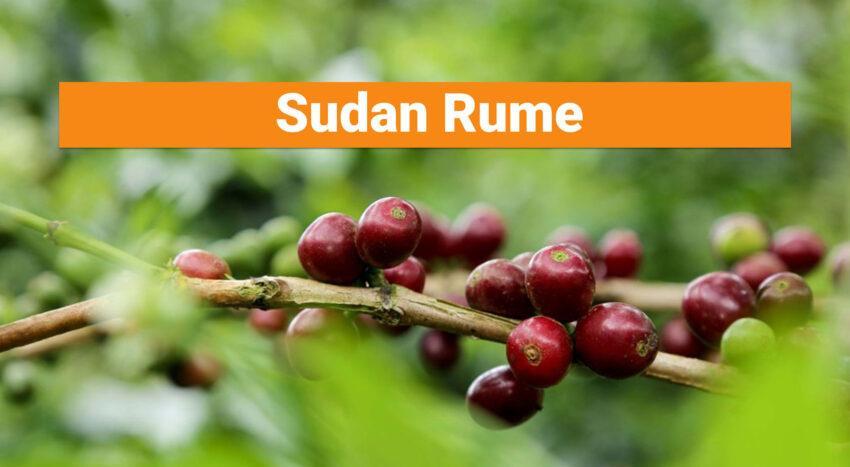 Sudan Rume