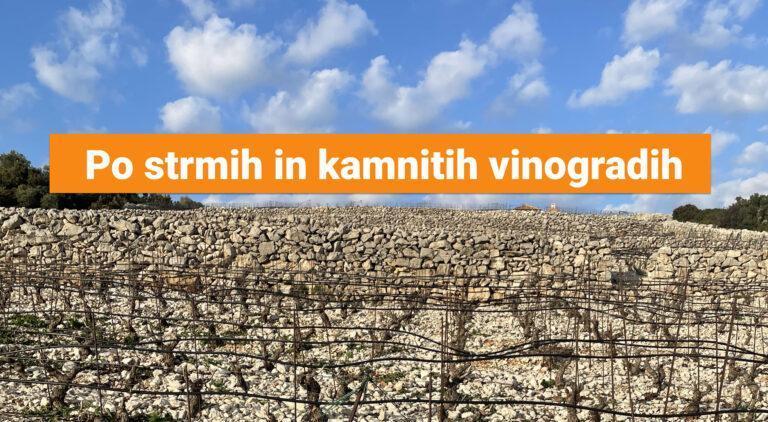 Po strmih in kamnitih vinogradih