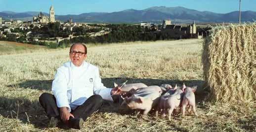 Ribera del Duero