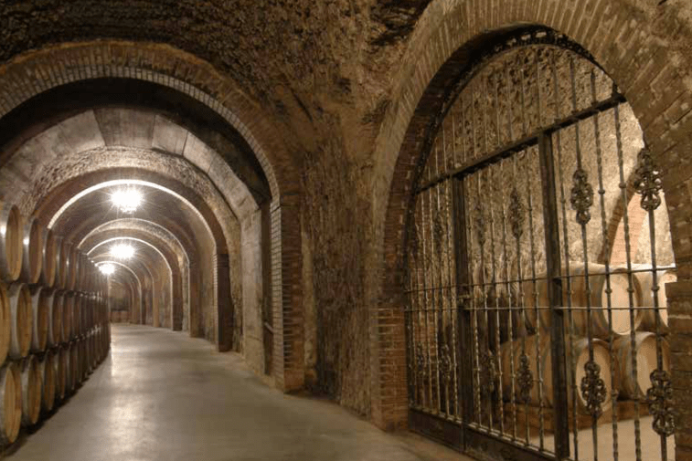 Ribera del Duero