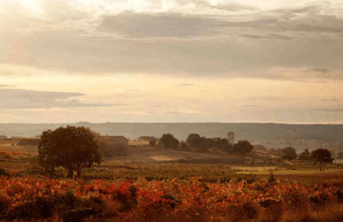 Ribera del Duero