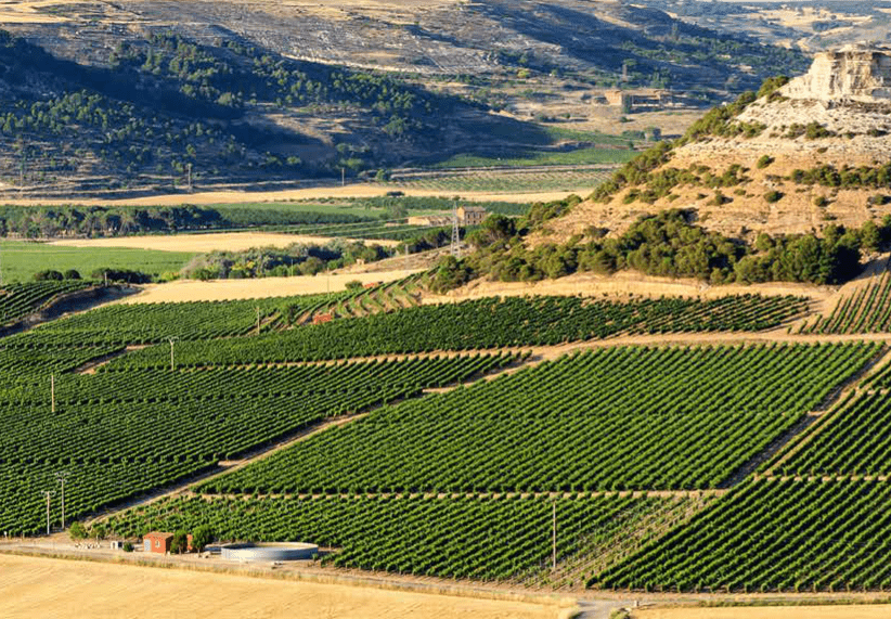 Ribera del Duero