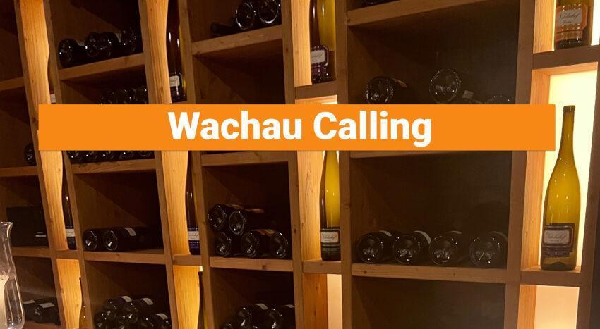 Wachau Calling
