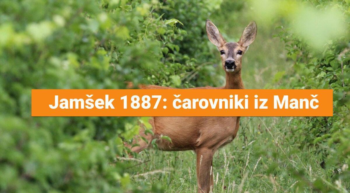 jamšek