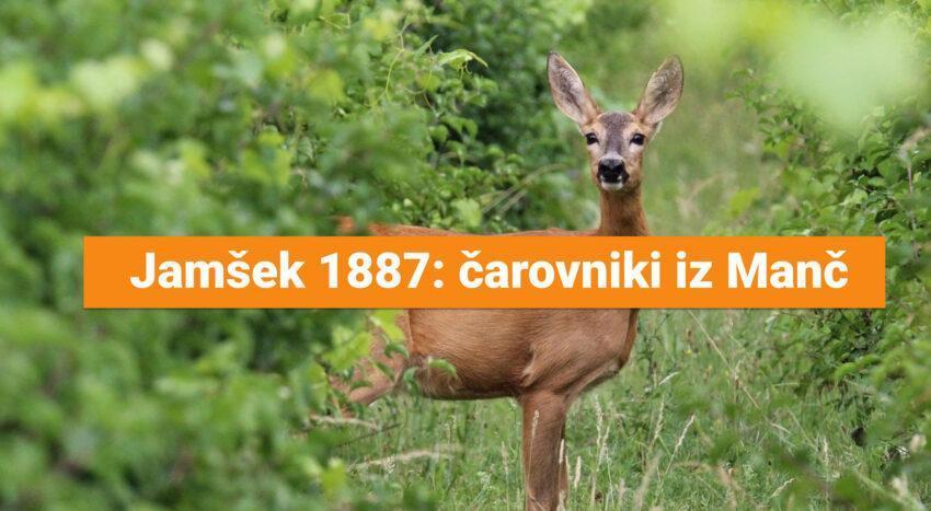 jamšek