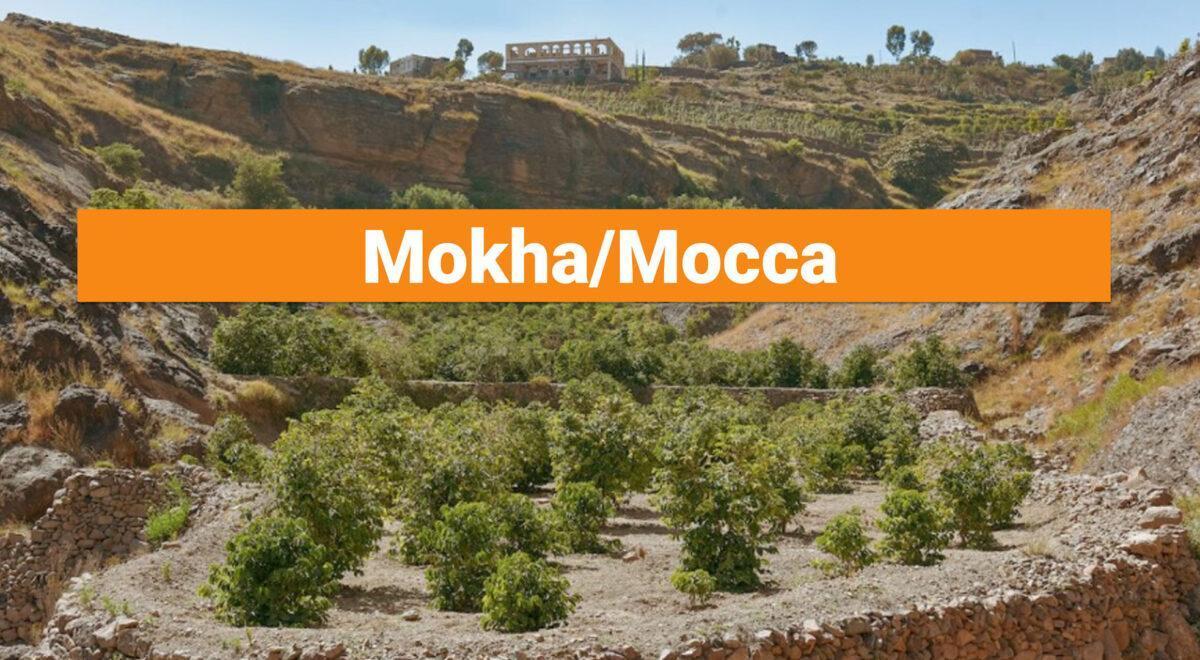 Mokha