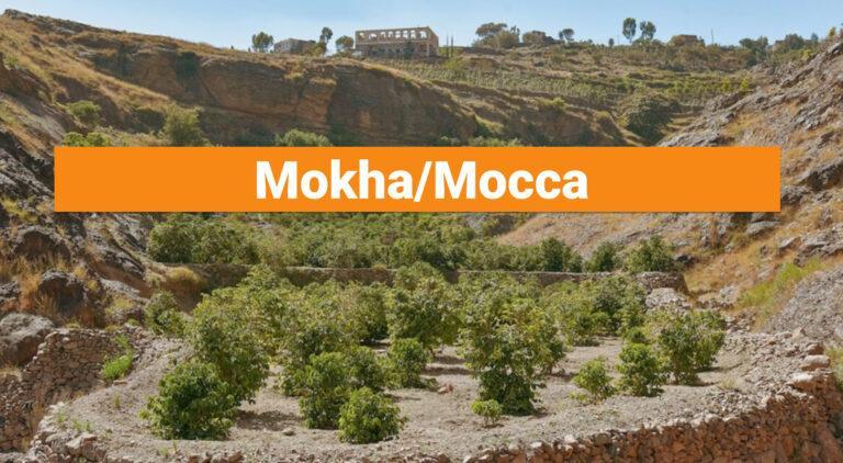 Mokha/Mocca