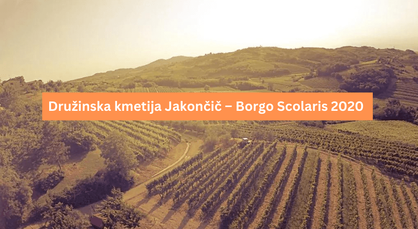 https://www.jakoncic.eu/#pid=4