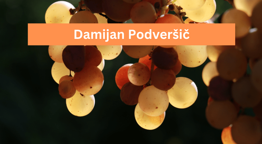 Damijan Podveršič