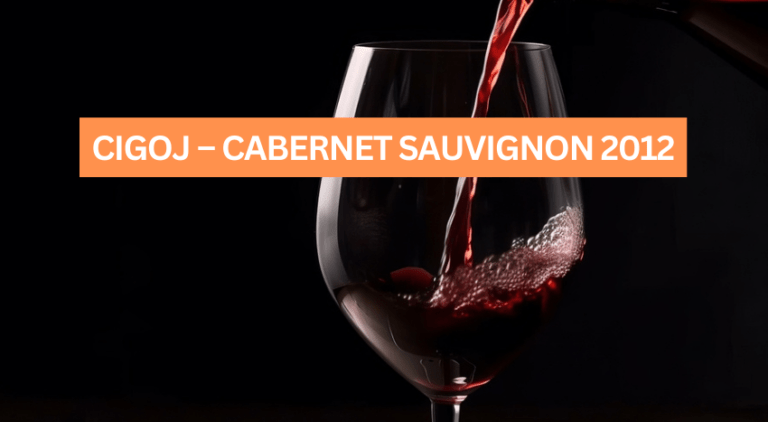 CIGOJ – CABERNET SAUVIGNON 2012