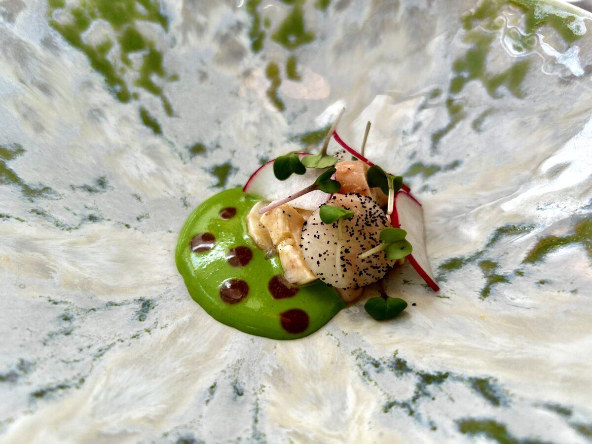 Hobotnična solata z daikonom in redkvicami.