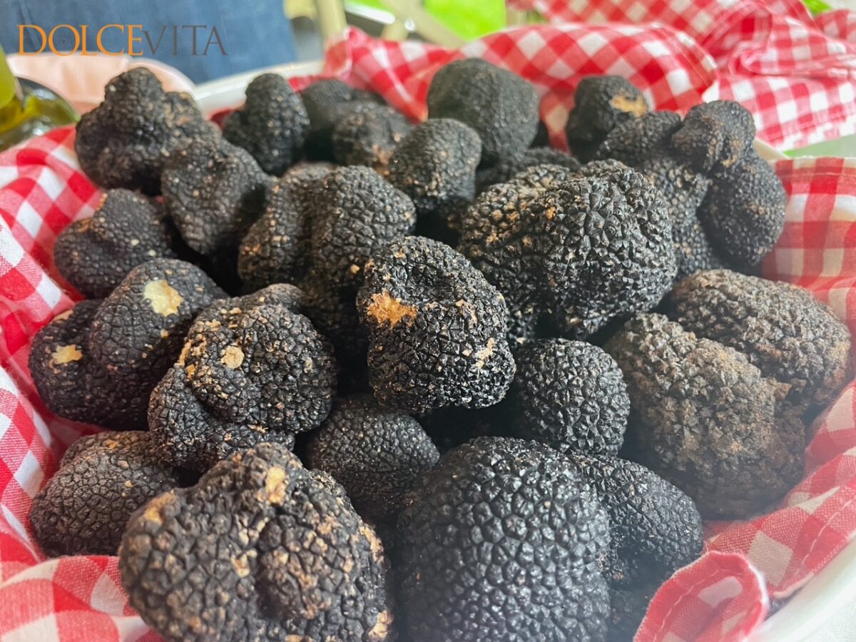 Dnevna ponudba tartufov.