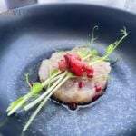 Restavracija Salicornia