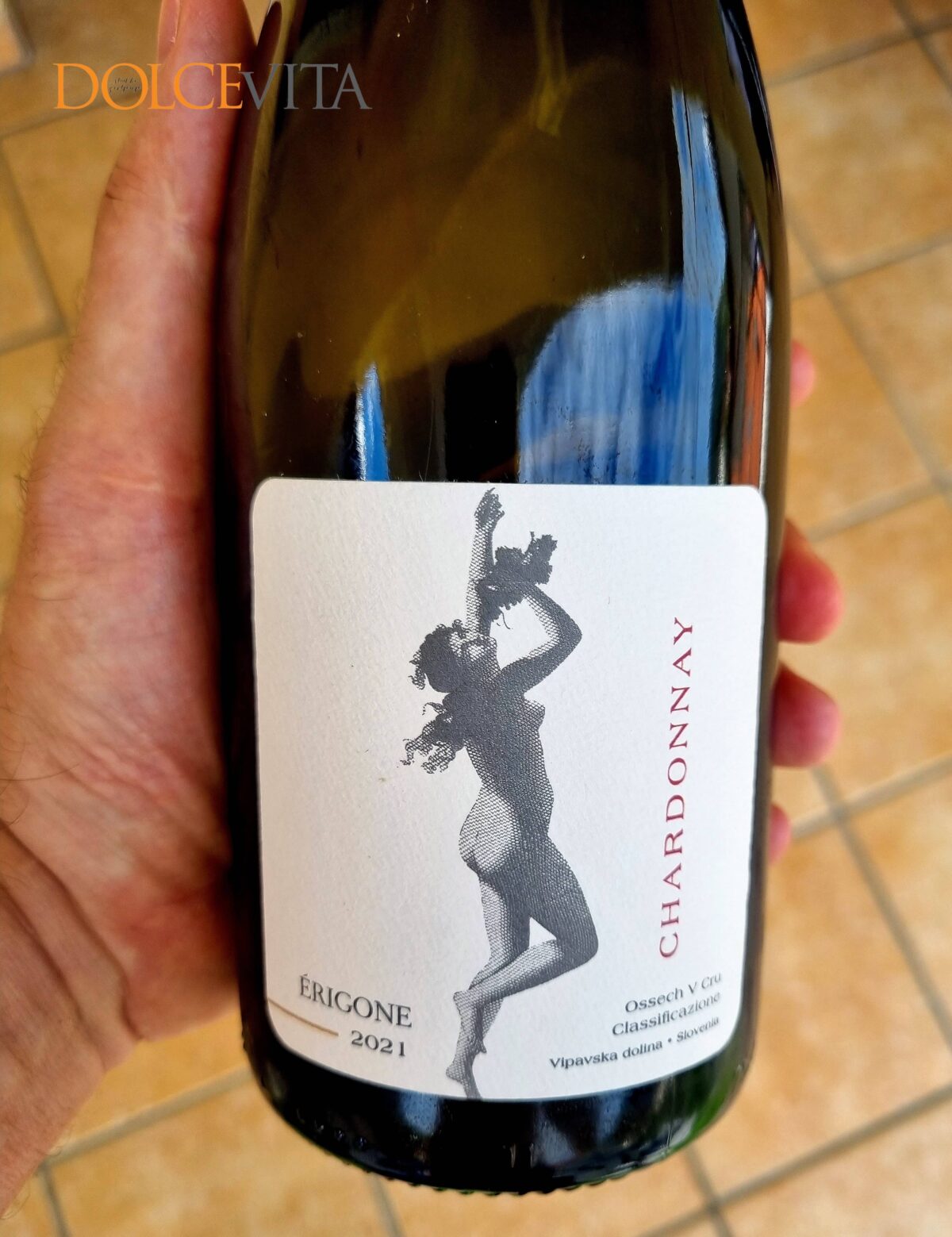 DOMAINE VICOMTE DE NOUE MARINIČ 
