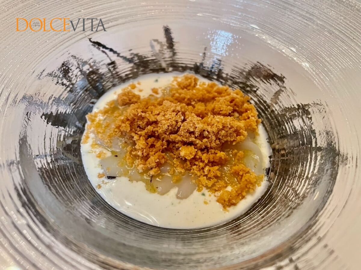 Cvrti in necvrti kalamari.