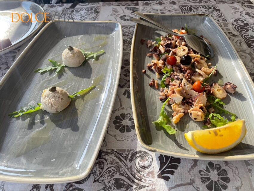 Tam narejen bakala in solata iz sip in hobotnice.