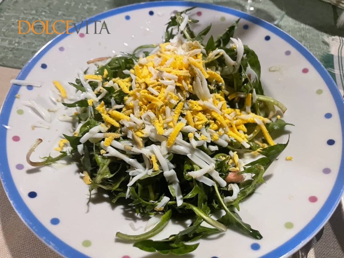 Prvi letošnji regrat.