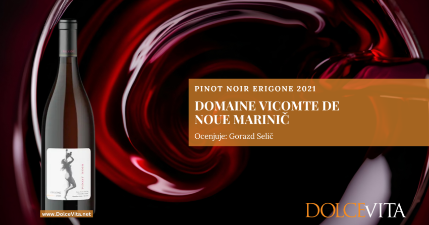 Domaine Vicomte de Noue Marinič – Pinot Noir Erigone 2021