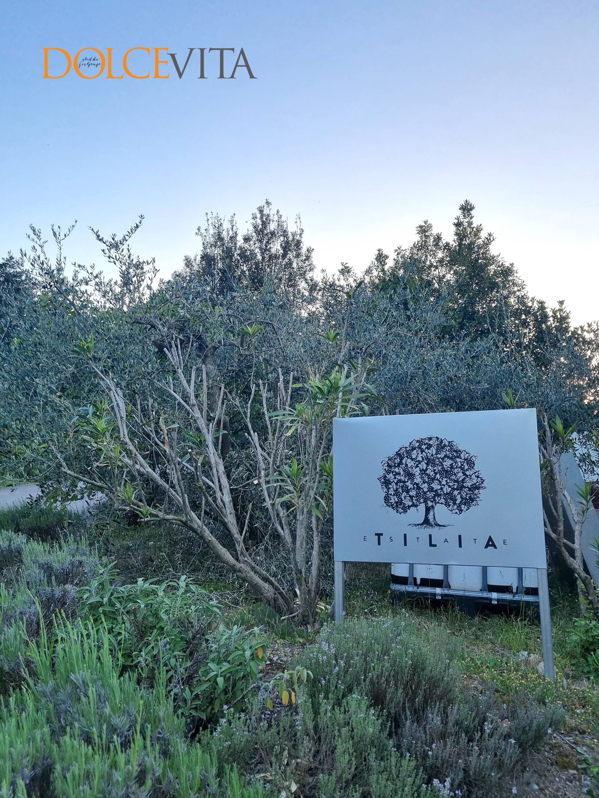 Tilia Estate