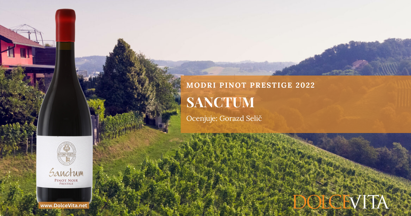 Sanctum – modri pinot Prestige 2022
