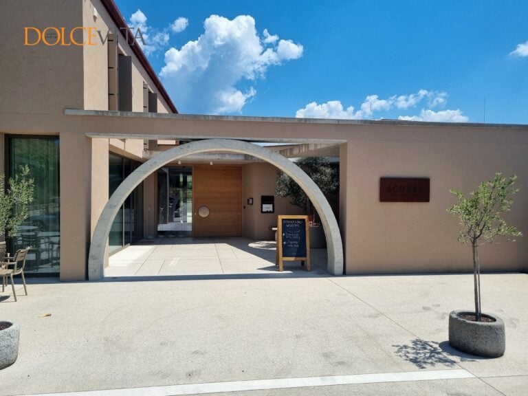 Vinski turizem Ščurek 