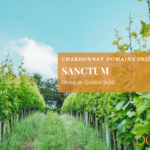 Sanctum chardonnay Domaine 2022