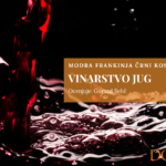 Modra frankinja Črni kos 2021 Vinarstva Jug