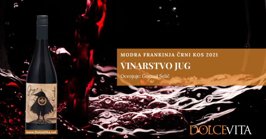 Modra frankinja Črni kos 2021 Vinarstva Jug