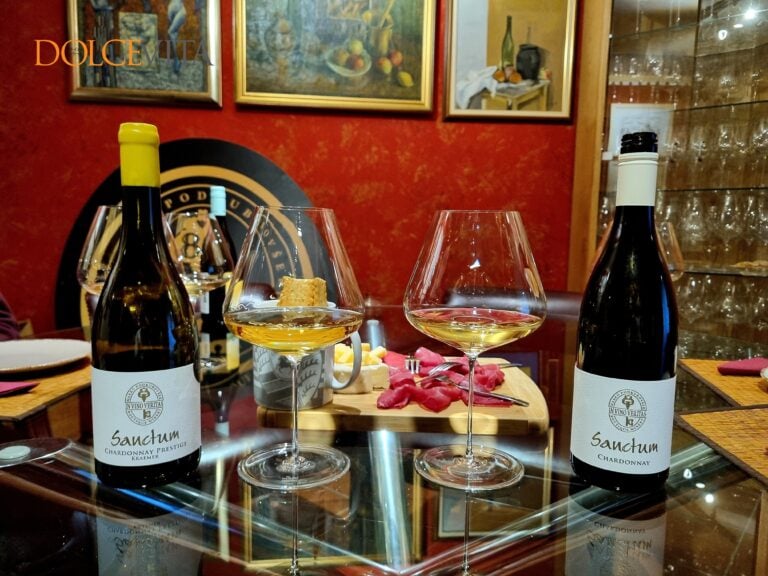 Chardonnayi Sanctum